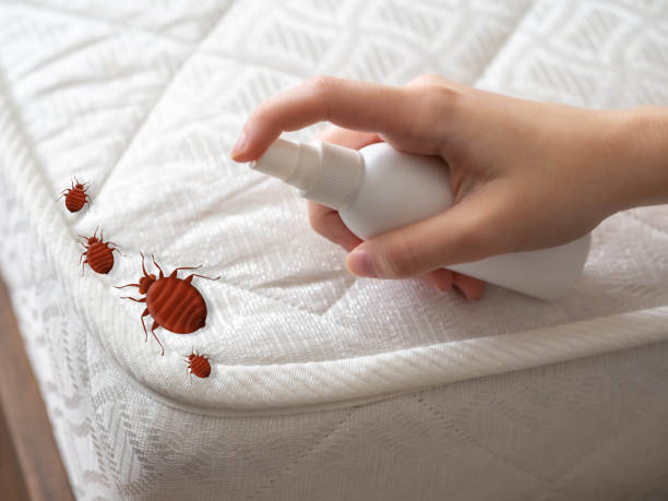 Best Cockroach Control  in Potomac Heights, MD